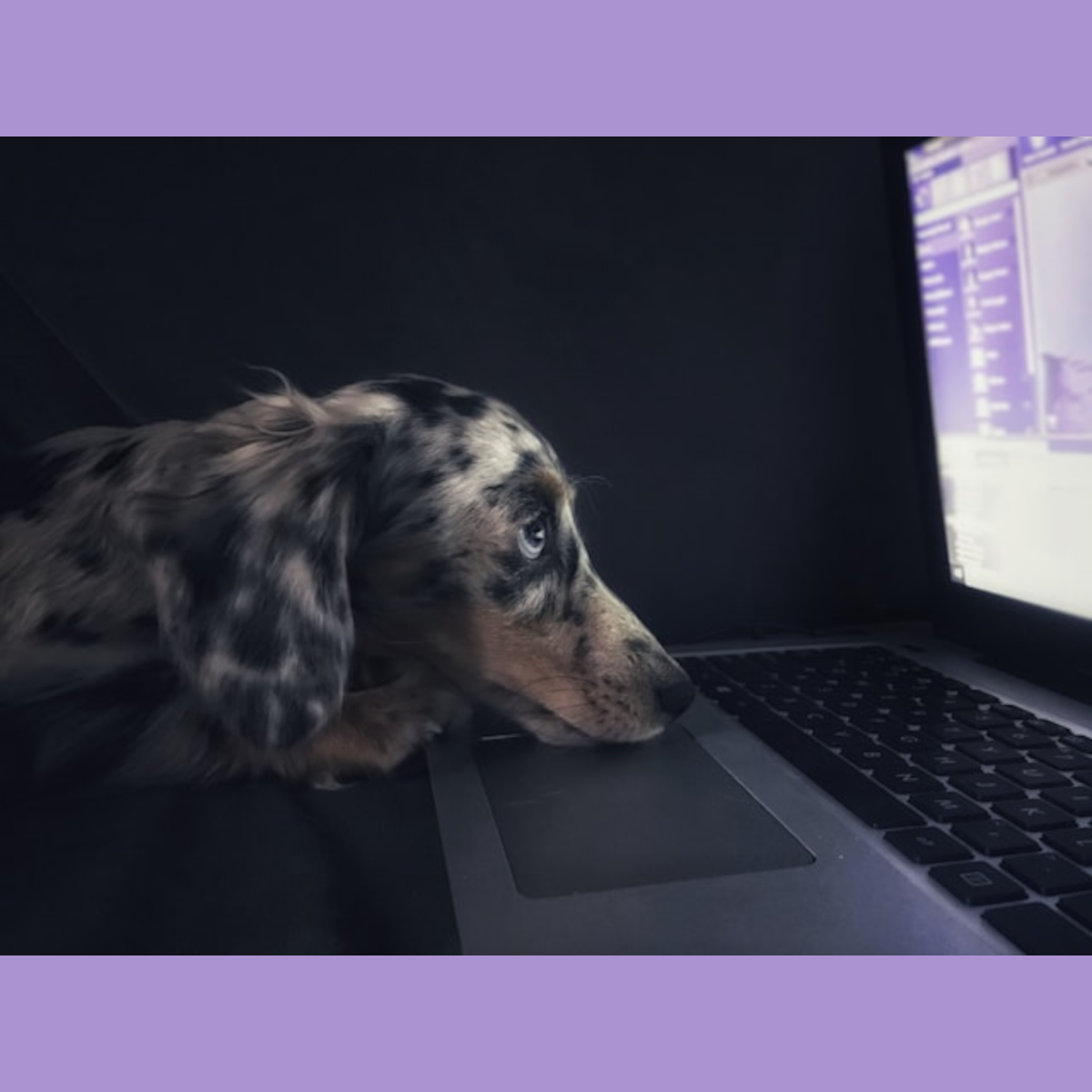 A Call for Mindful Assignment Deadlines!