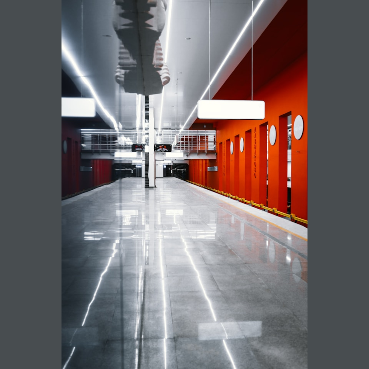 As Smart as a Moscow Dog !